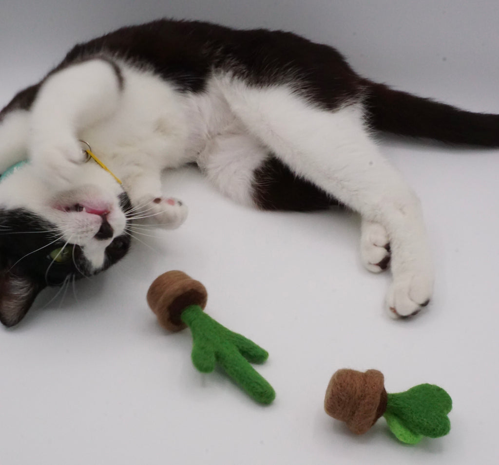Handmade Felt Cactus Cat Toys (set of 2)