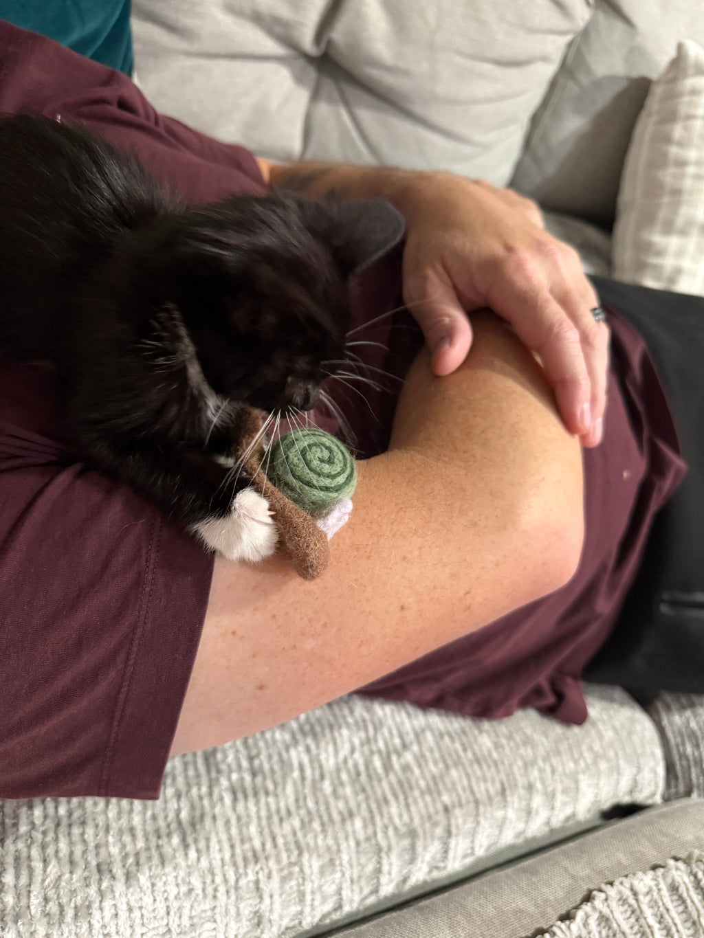 Snail Felt Cat Toy