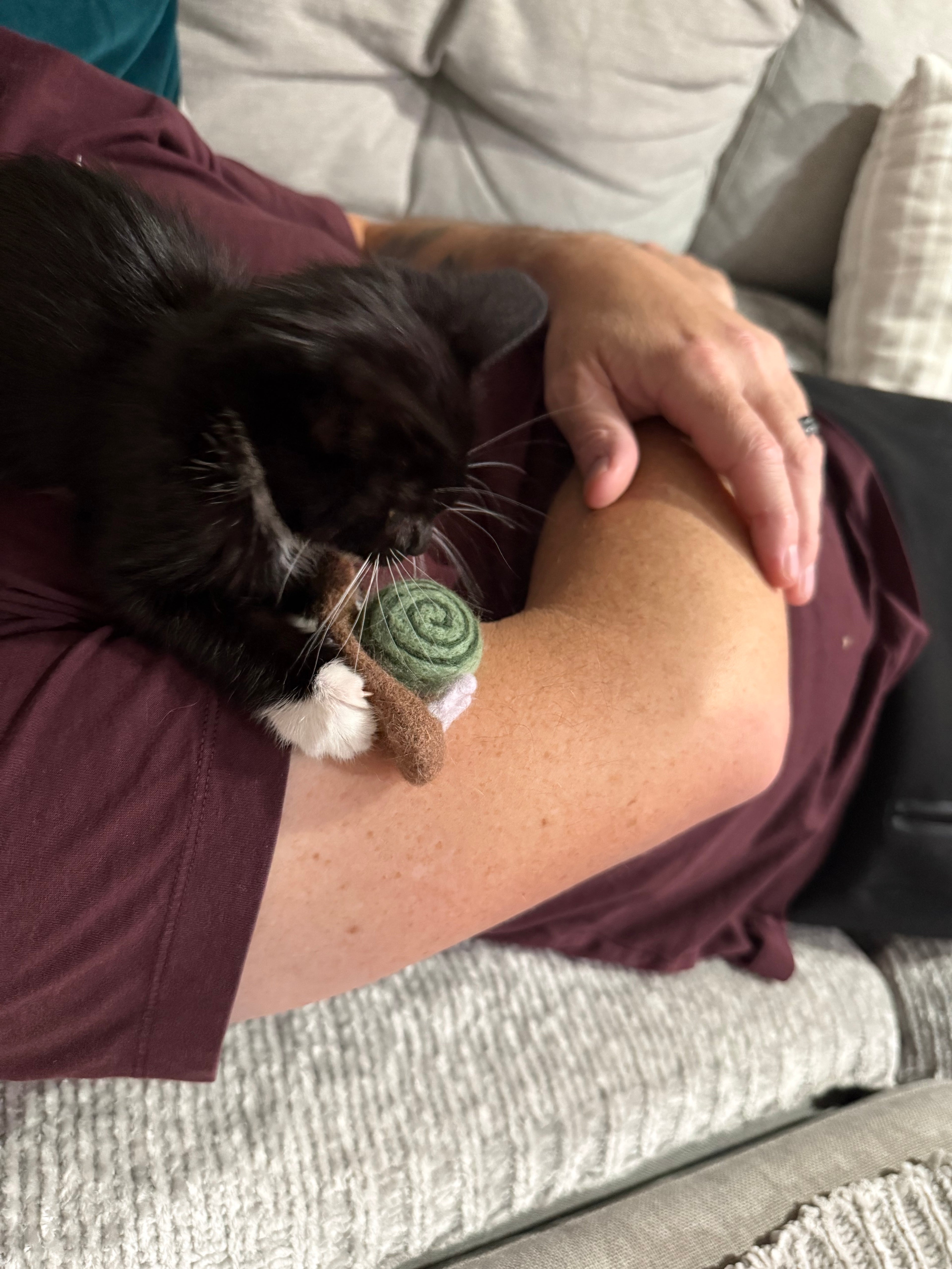 Snail Felt Cat Toy