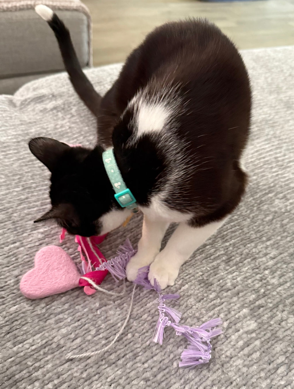 Heart & Strings Felt Cat Toy