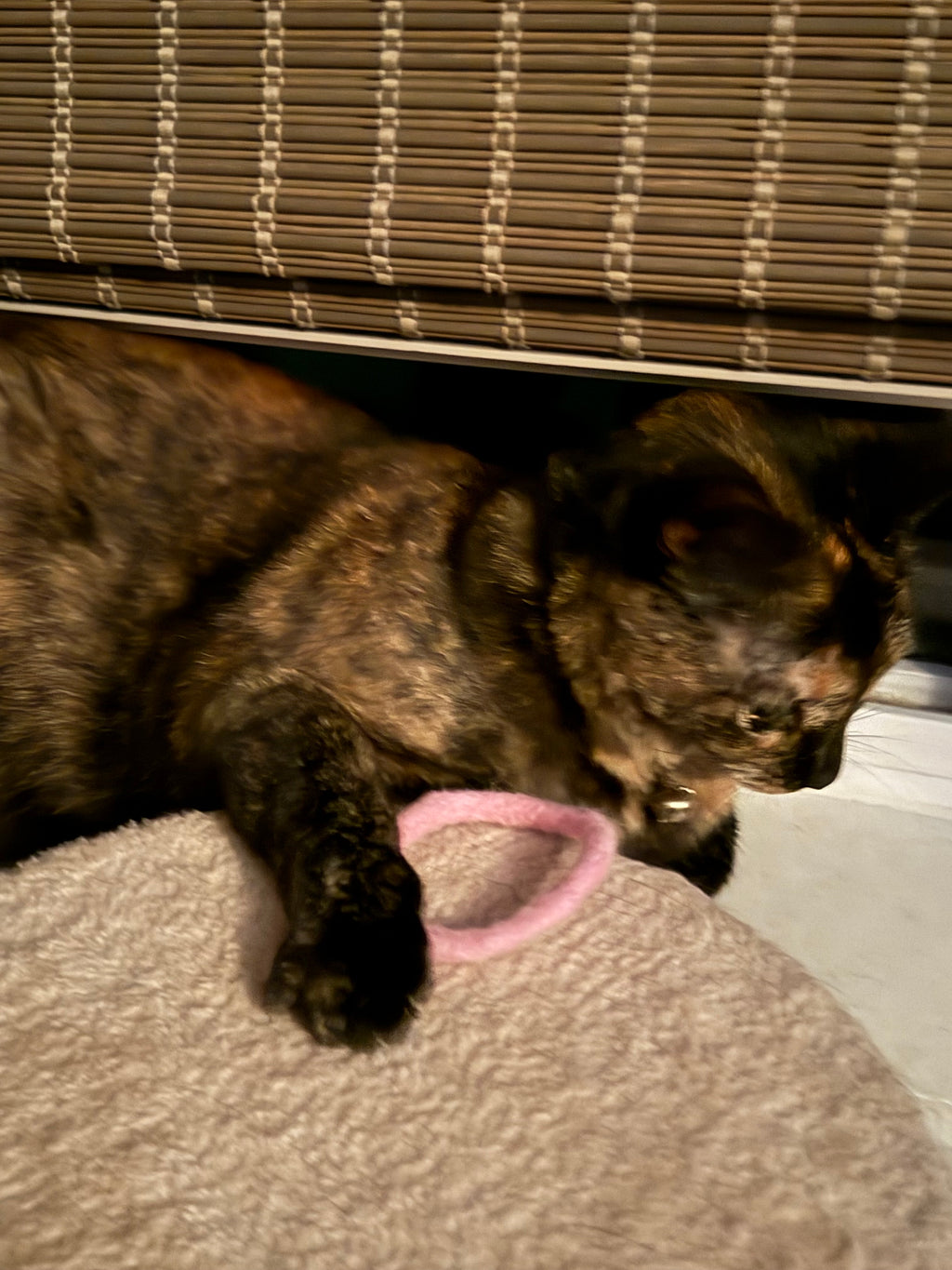 Feline Felt Loops (set of 4)