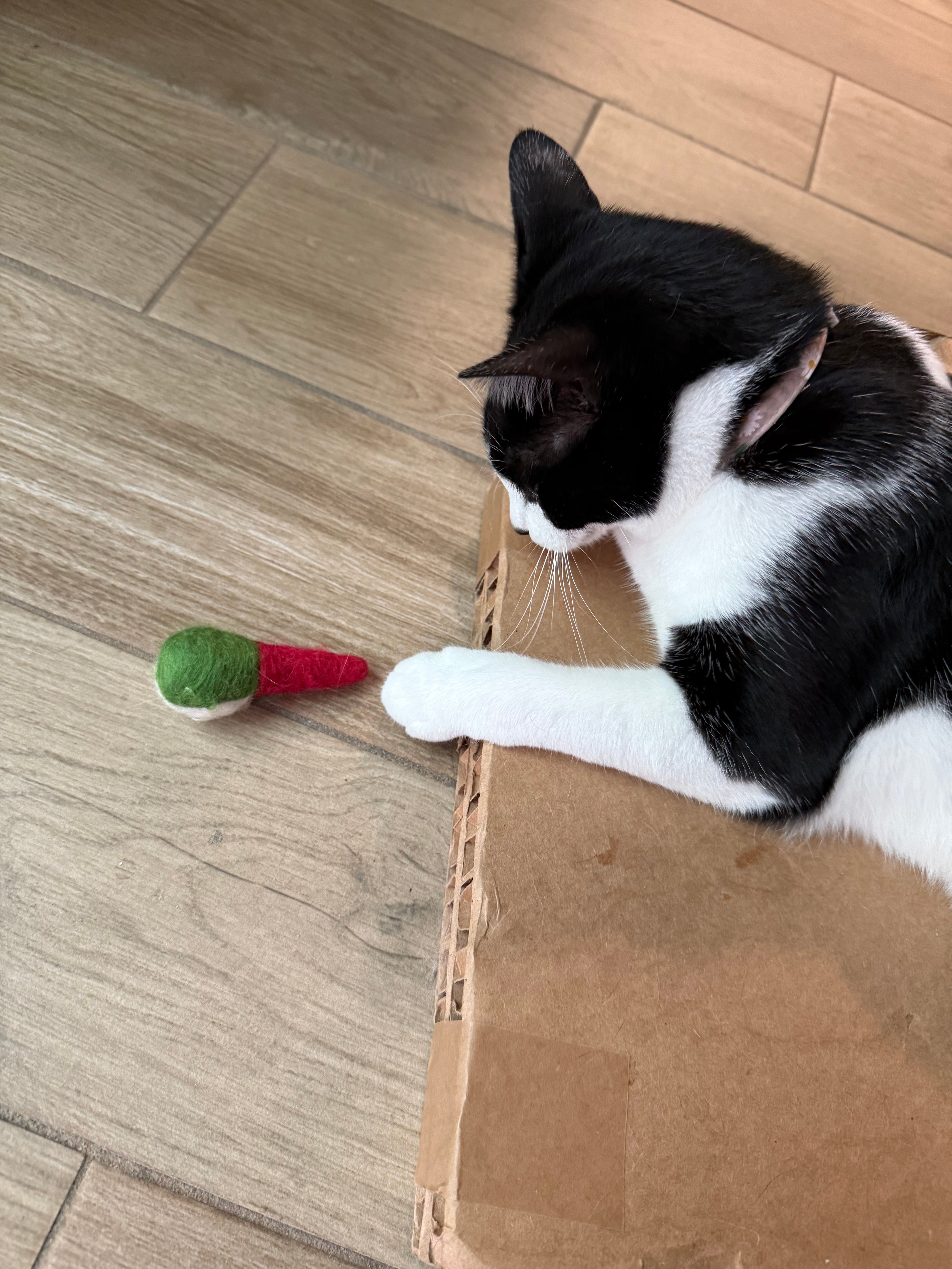 Felt Gnome Cat Toys (set of 2)
