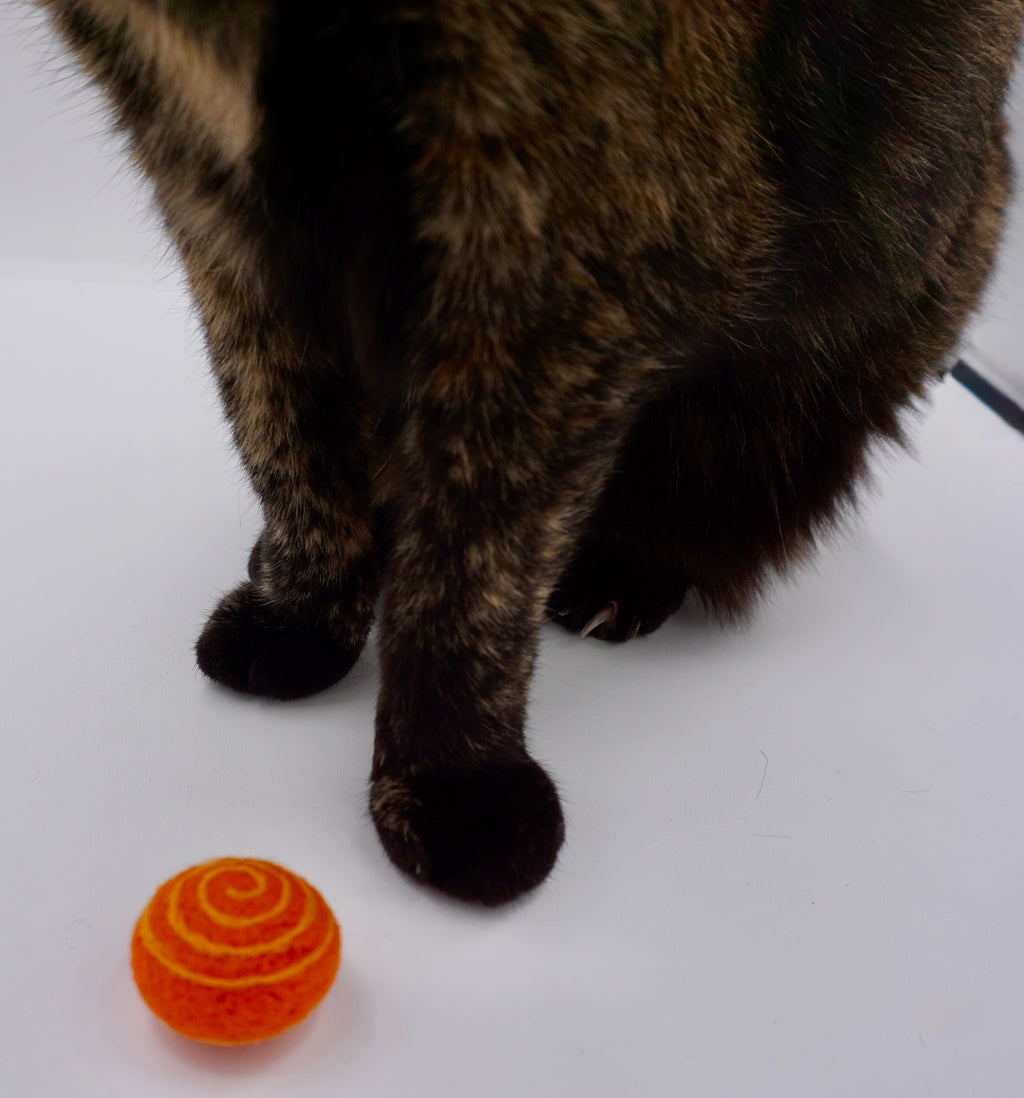 Gilly poses with orange swirly felt cat toy